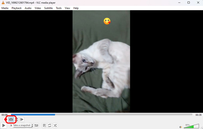 VLC のスナップショット機能