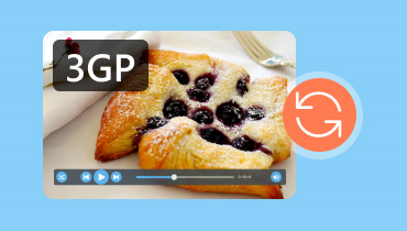 3gp動画コンバーター