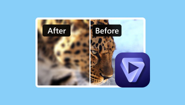 Topaz Photo AI レビュー