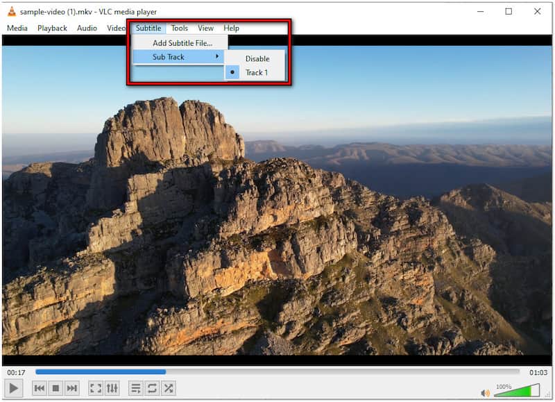 字幕トラックオプション