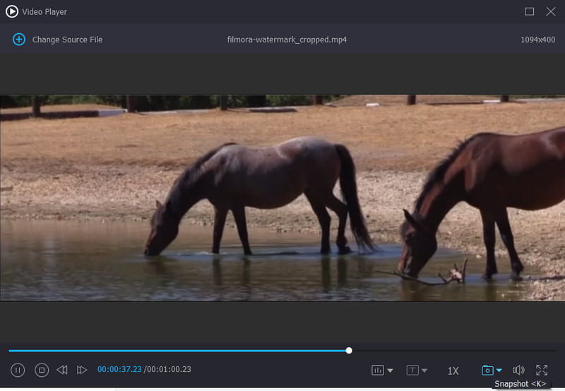 Vidmore Video Converter コンバーター