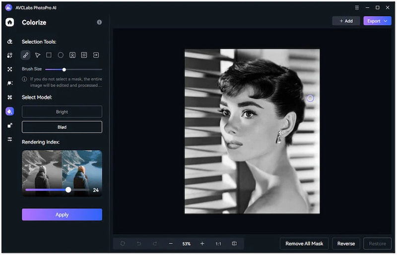 カラー化モデルを適用