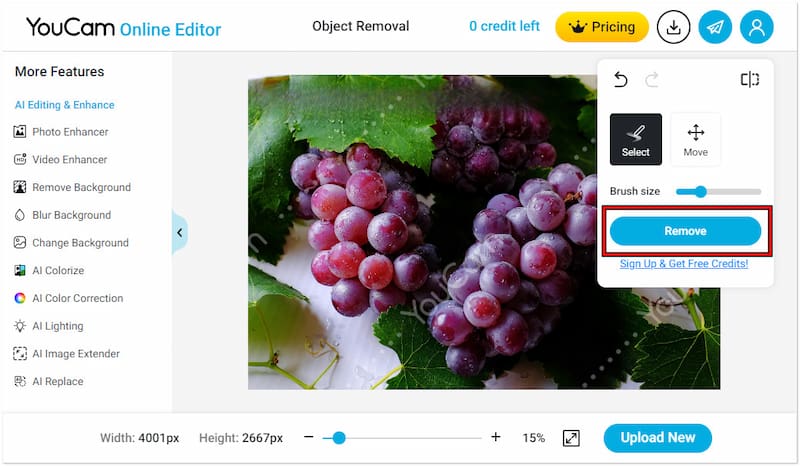 透かし削除を開始