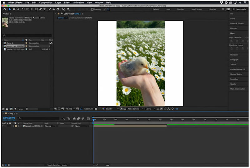 コンポジションをトリミング