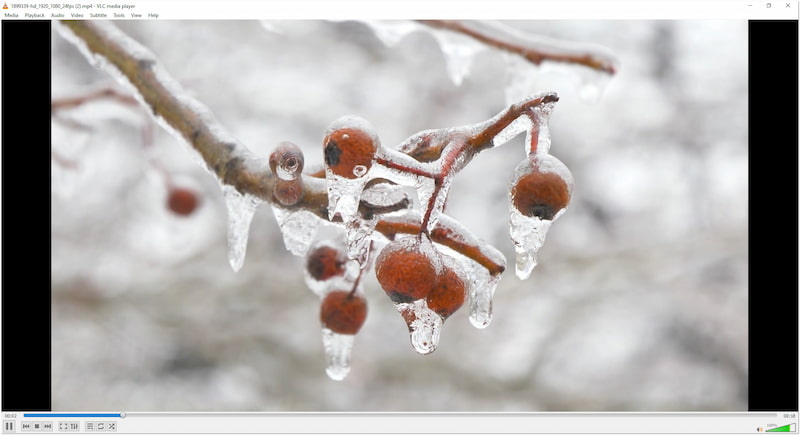 HEVC 動画の再生