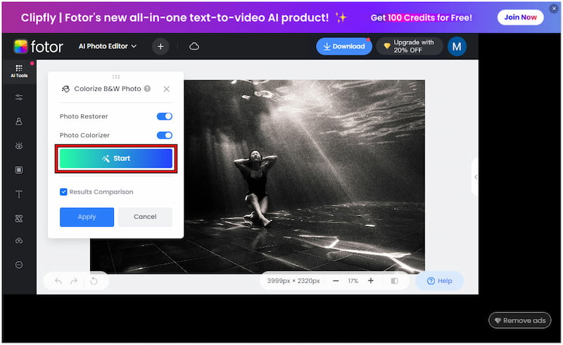 写真のカラー化を開始