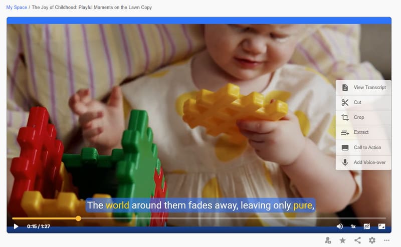 Visla AI 生成結果