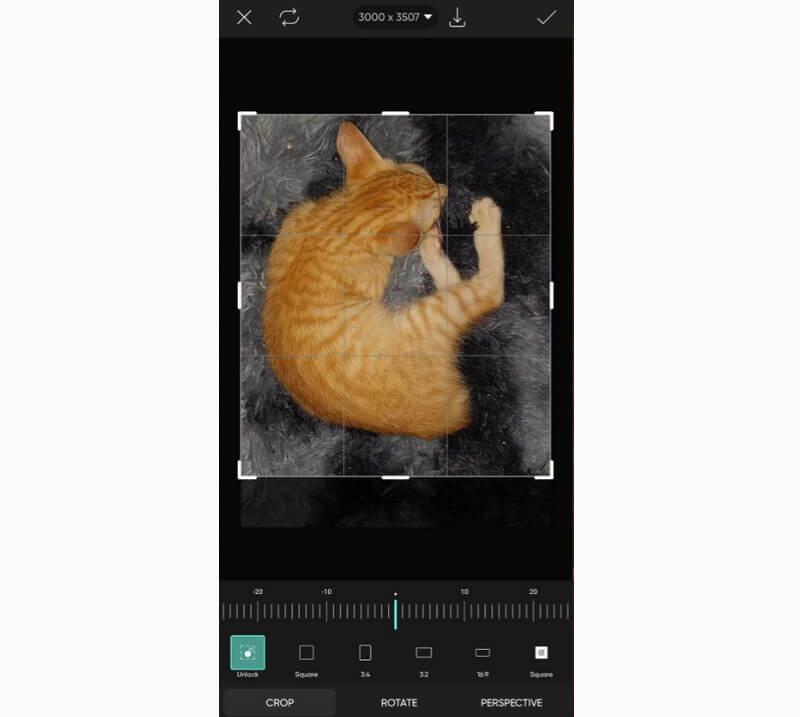 画像トリミング機能