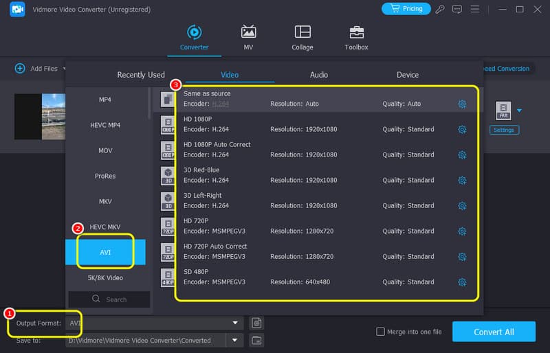 Output Formats から Avi を選択（Vidmore）