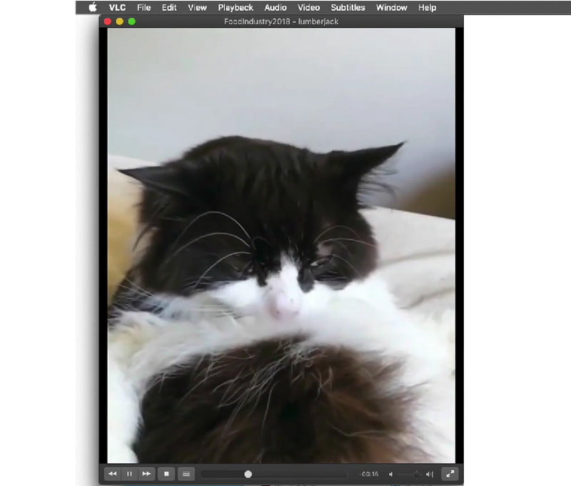 AVIファイルを再生 VLC