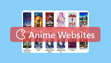 アニメ視聴サイト