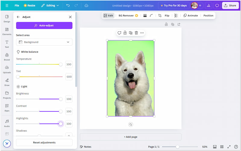 Canva グラフィックデザイン