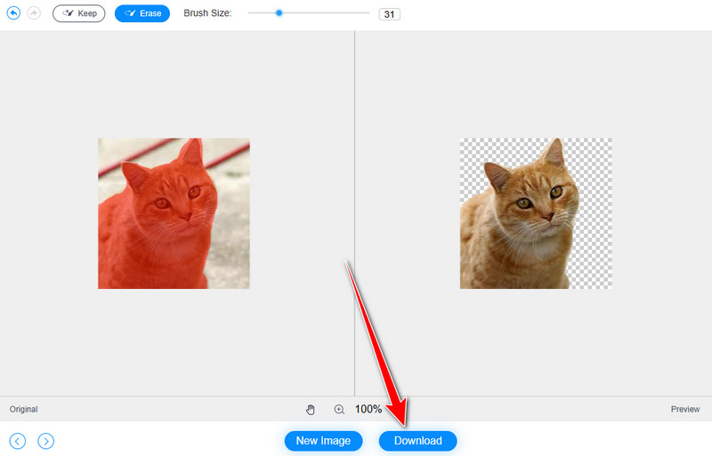 Download Image Vidmore