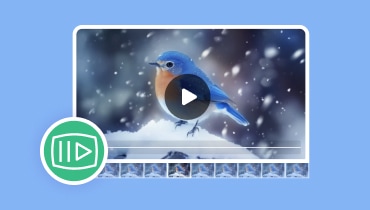 コマ送り対応動画プレーヤー