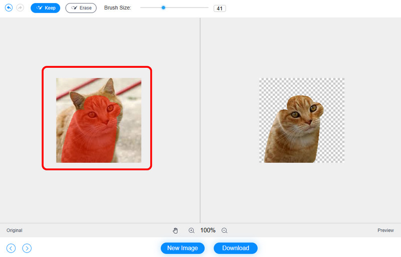 画像をハイライト Vidmore 背景リムーバー