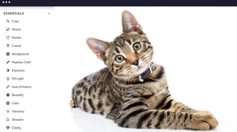 Befunky の Canva 代替