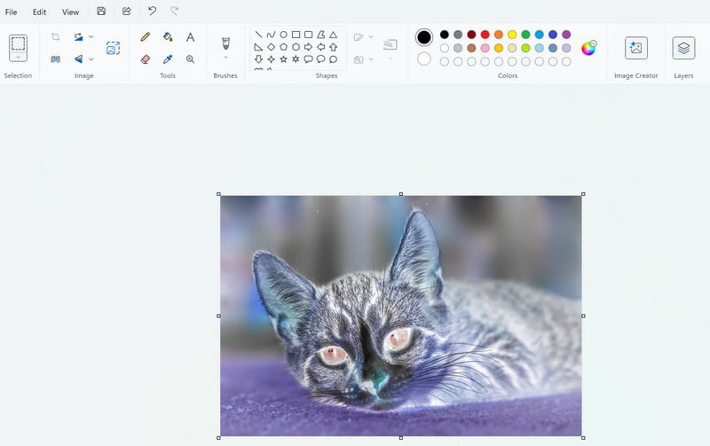 Microsoft Paint