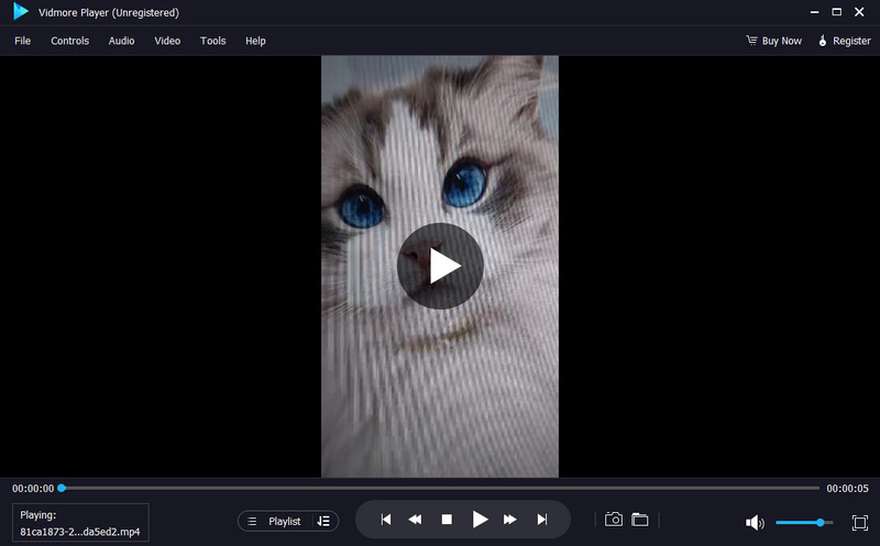 Vidmore Player 最高のプレーヤー