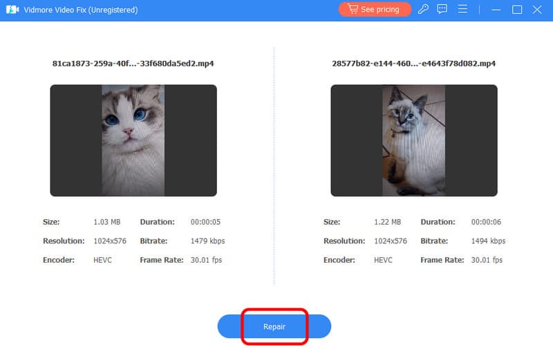 Click Repair Button Vidmore