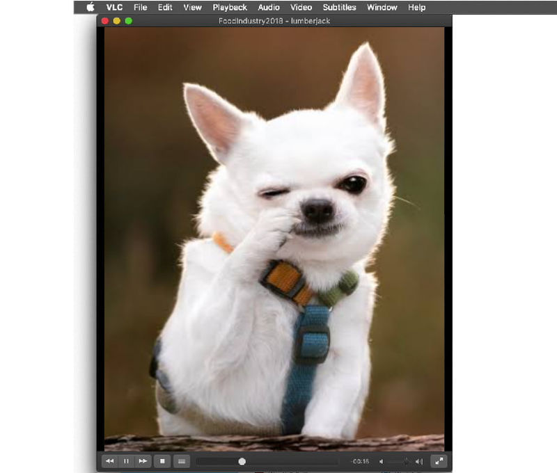 MP4ファイルを再生　VLC