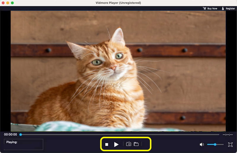 WMV を Vidmore で再生