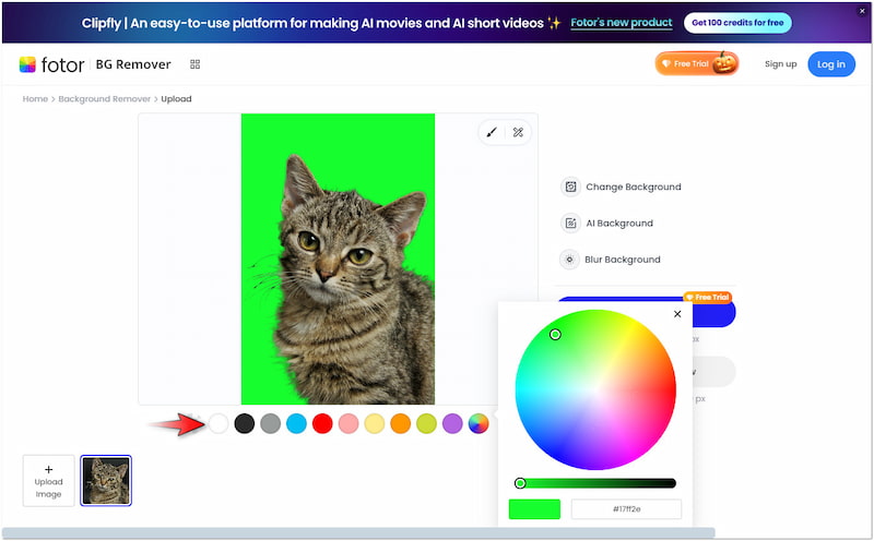 単色背景を選択