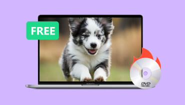 無料DVDライティングソフト