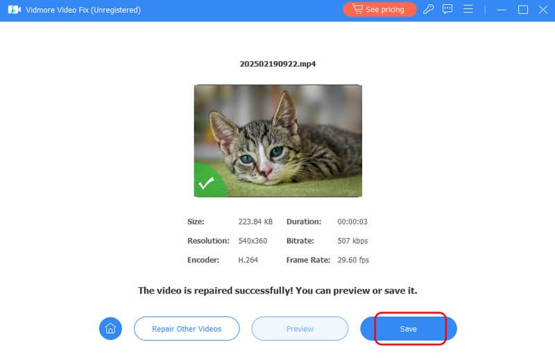 動画を保存 – Vidmore