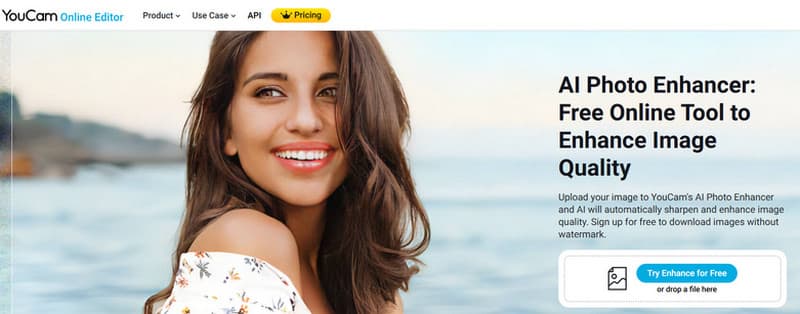 Youcam Online Editor とは