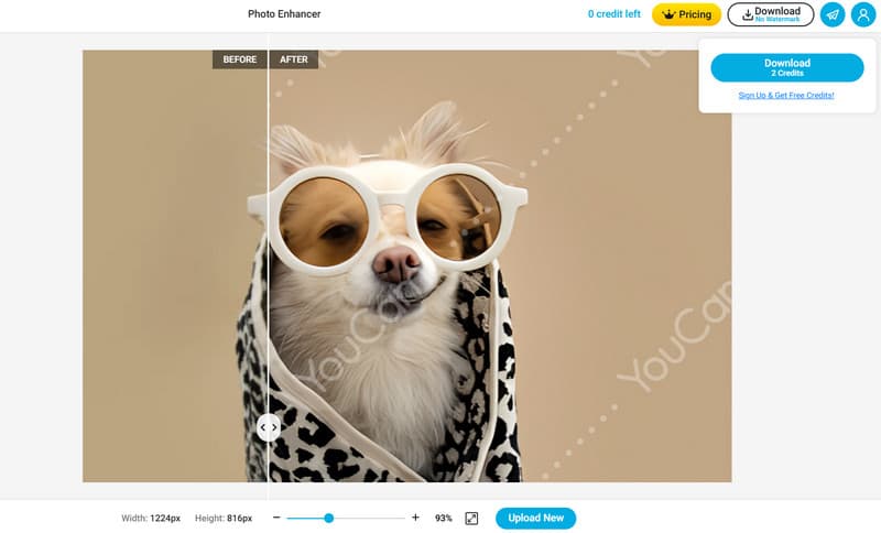 Youcam Photo Enhancer 機能