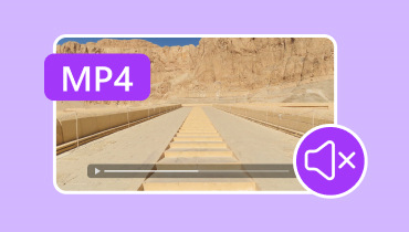 MP4 で音が出ないときの対処法