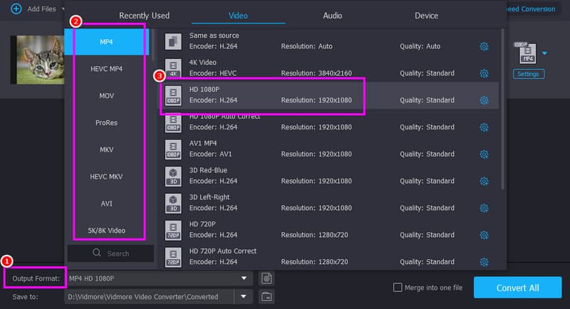 出力形式の解像度（Vidmore）