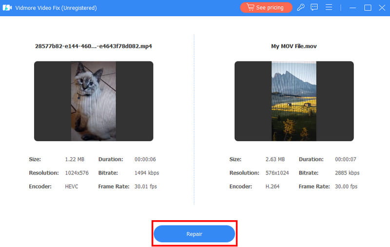 修復ボタン Vidmore