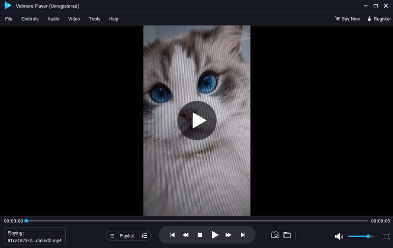 映画鑑賞用 Vidmore プレーヤー