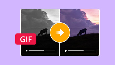 GIFをカラー化する