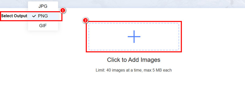 出力形式を選択 Vidmore
