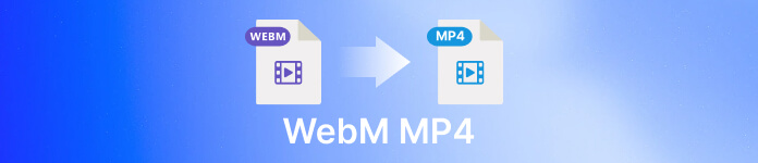 WebM MP4