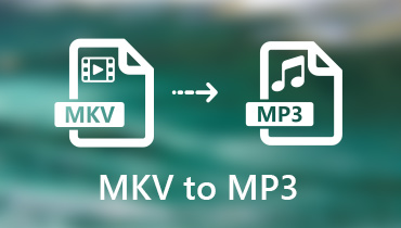 MKVをMP3に変換