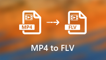 MP4をFLVに変換