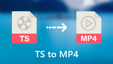 TSをMP4に変換