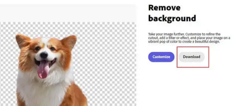 Express Download（エクスプレスダウンロード）