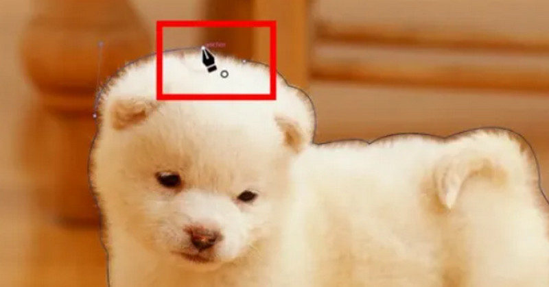 Illustrator Shape（Illustrator シェイプ）