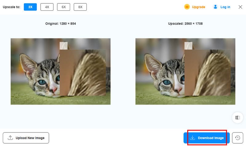 Download Image Vidmore