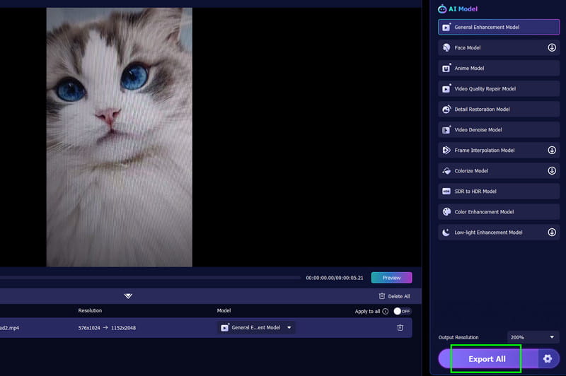 すべてエクスポート　Vidmore