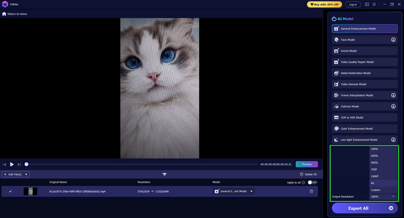 出力解像度　Vidmore
