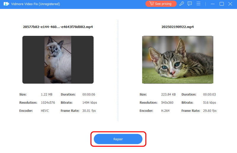 修復ボタン Vidmore