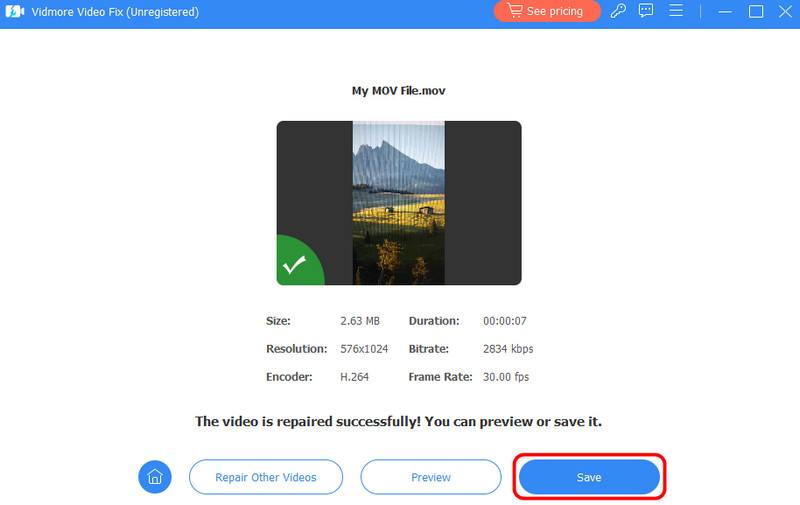 動画を保存する（Tipard）
