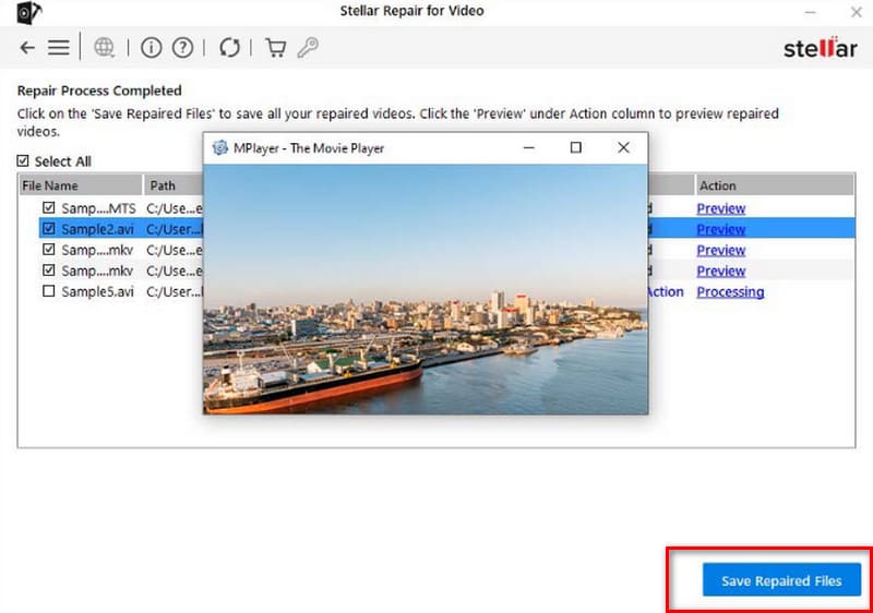 Stella プレビュー