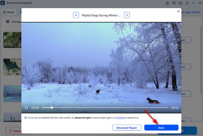 Wondershare プレビュー