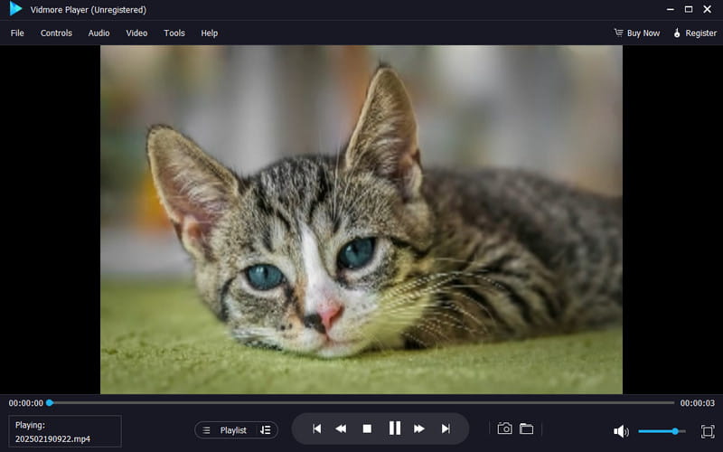 動画を見る  Vidmore